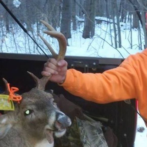 Meet your Posher, Scott - Picture 1 of 1